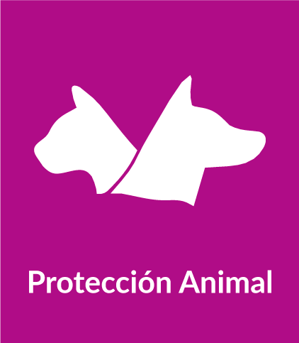 Protección animal