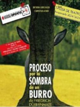 Proceso por la sombra de un burro
