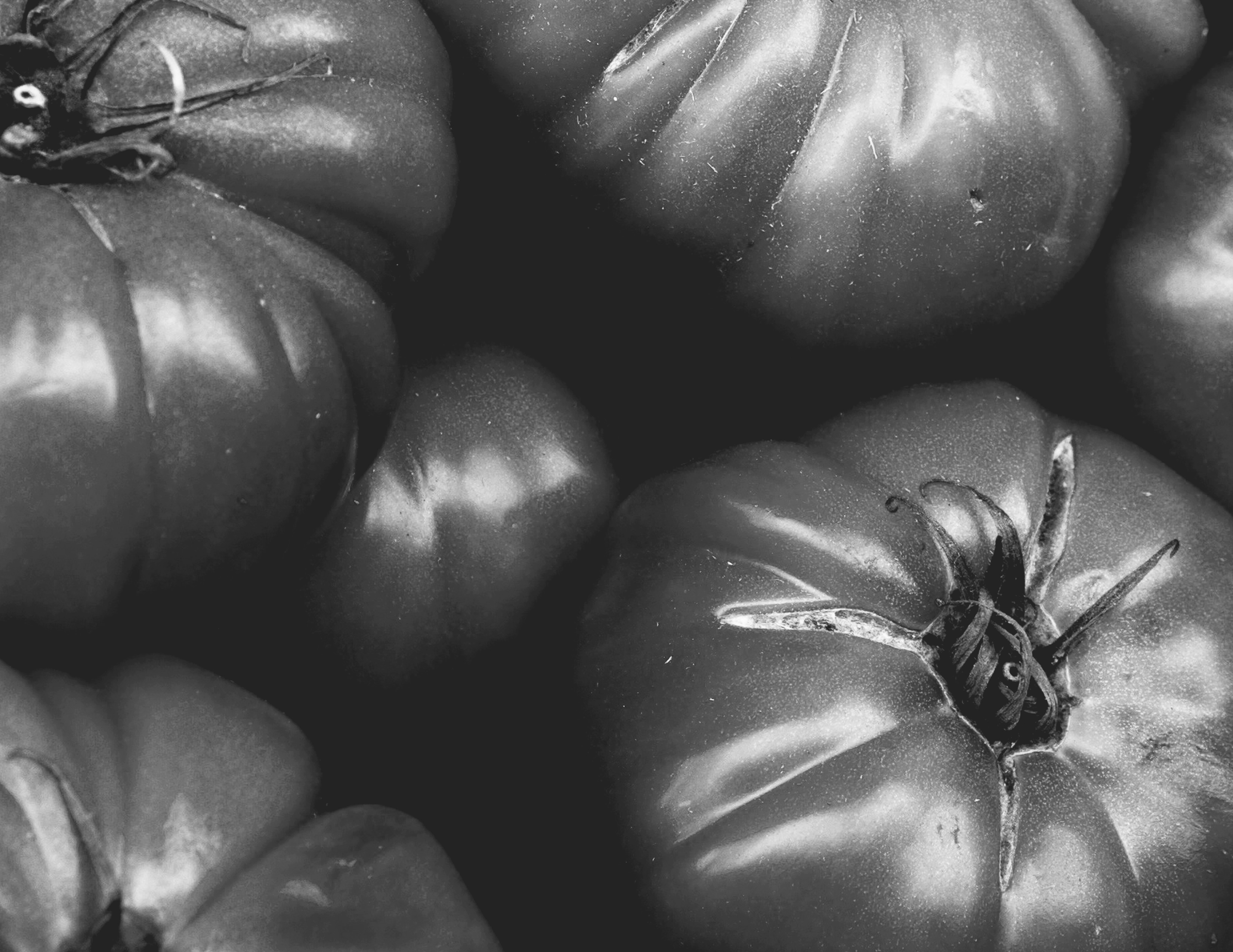 ¿Estás listo para pedir?