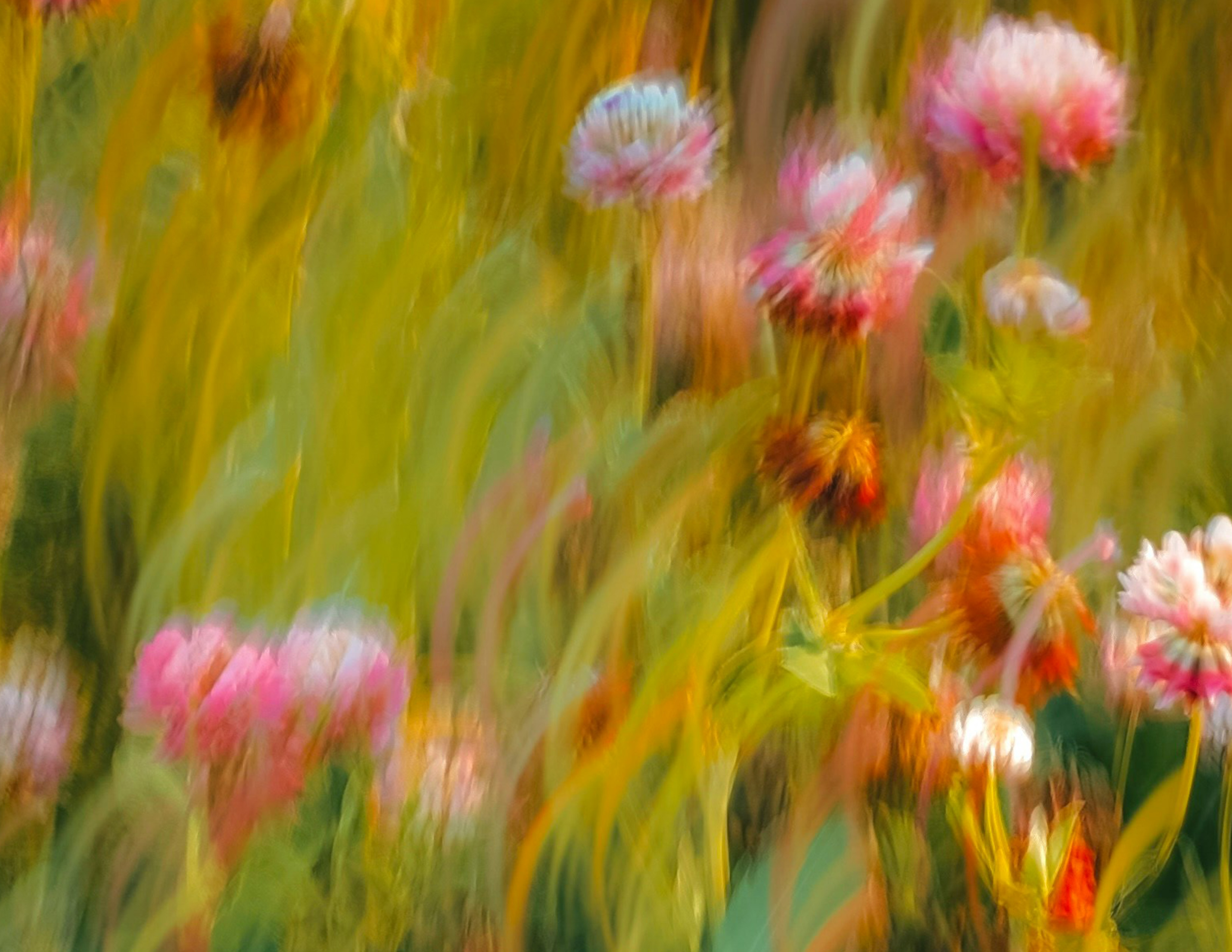 «EXAMEN SORPRESA (CONFERENCIA ILUSTRADA)»