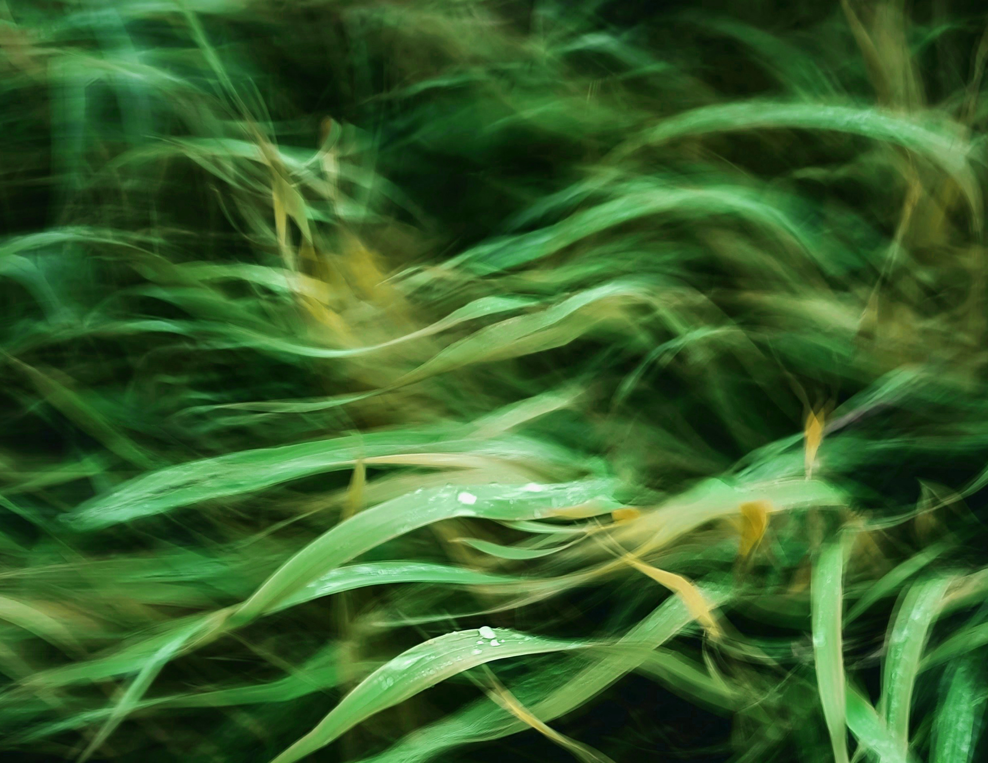 «MICROFESTIVAL, TABLEROS Y PANTALLAS »