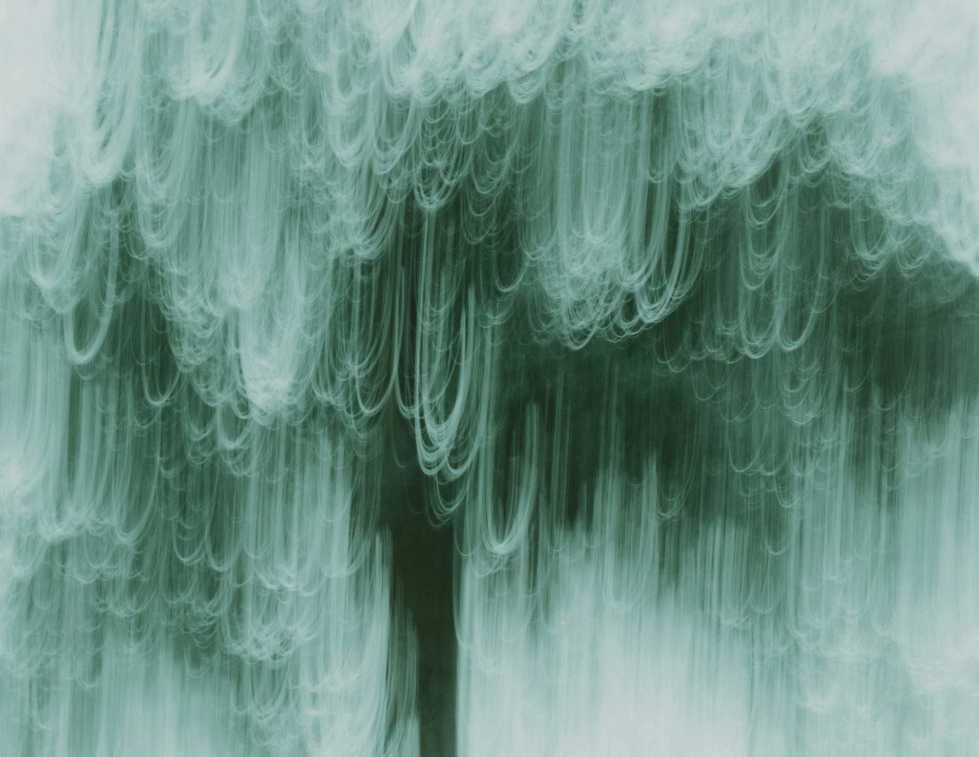 «NO CESARÁN MIS CANTOS »