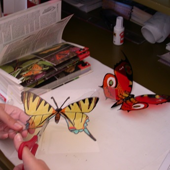 Imagen de la actividad El color de las mariposas