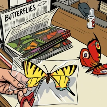 Imagen del Taller: El color de las mariposas