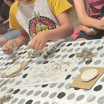 Imagen del Taller de egagrópilas