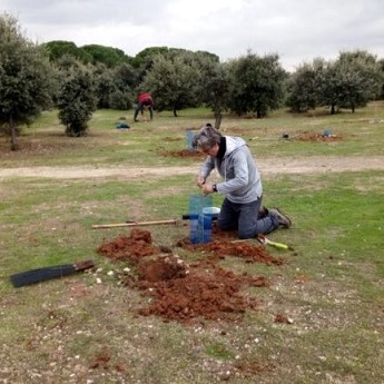 Reforestación en la Casa de Campo