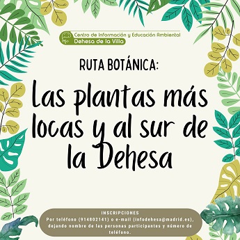 Ruta bot&aacute;nica: las plantas m&aacute;s locas y al sur de la dehesa