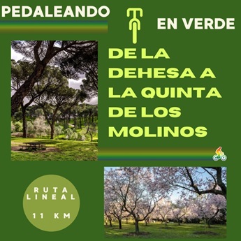 Pedaleando en verde: en bici desde la Dehesa a la Quinta de los Molinos