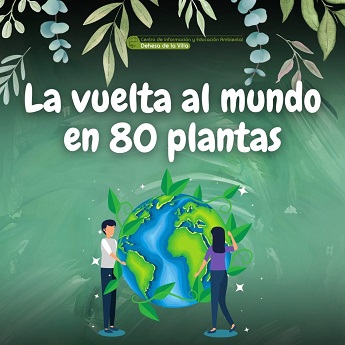 La vuelta al Mundo en 80 plantas