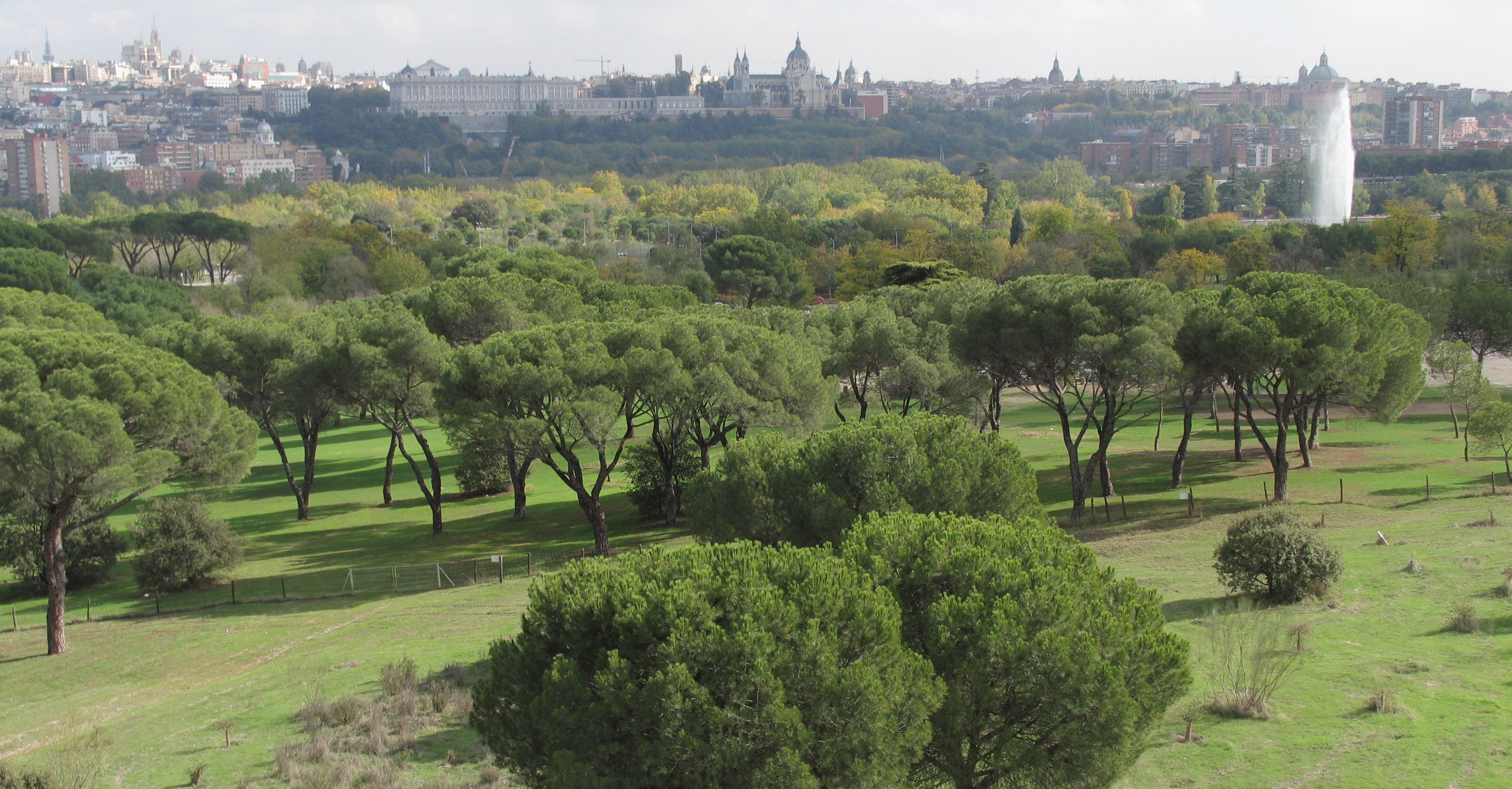 Instant&aacute;nea de la Casa de Campo, Madrid