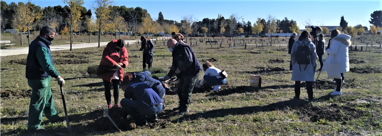 Participantes en la plantaci&oacute;n que se realiz&oacute; en el Parque Forestal Julio Aguacil G&oacute;mez, en el Distrito de Villaverde, el pasado 17 de noviembre de 2021. Gracias a la participaci&oacute;n de NOVO NORDISK PHARMA, NAVANTIA, Asociaci&oacute;n de Empresas del Libro y EPSOM IBERICA SAU, se plantaron 3.670 &aacute;rboles (Pinus halepensis, Quercus coccifera y Fraxinus angustifolia).