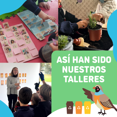 Resultado mensual de talleres